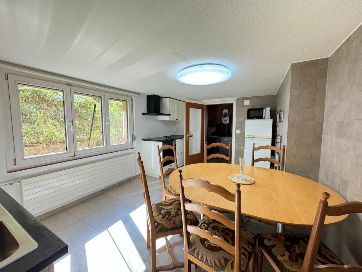 Apartament Alpenhaus, Farmhouse Triesenberg Zewnętrze zdjęcie